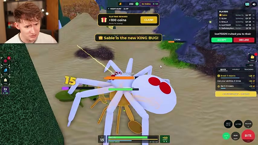 King Bug announcement and a large spider on the server